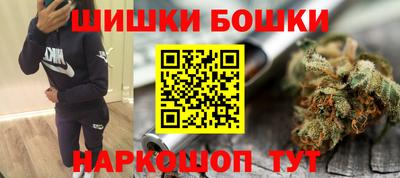 стаф Бузулук