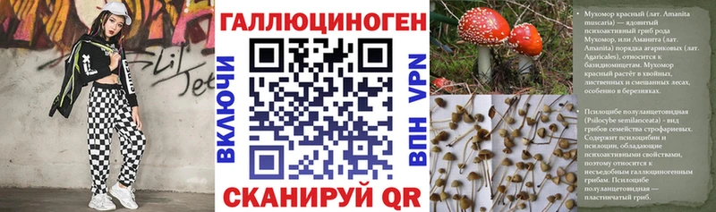 Псилоцибиновые грибы мицелий  мега рабочий сайт  Барабинск 
